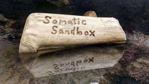 183Somatic Sandbox